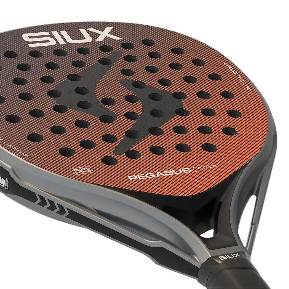 Siux Pegasus Elite - 4 - Vista 4
